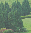 免费DDOS攻击测试工具