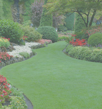 免费DDOS攻击测试工具